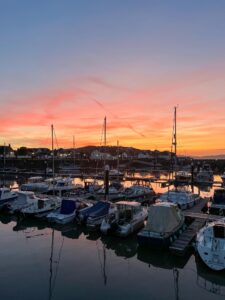 marine surveys somerset
